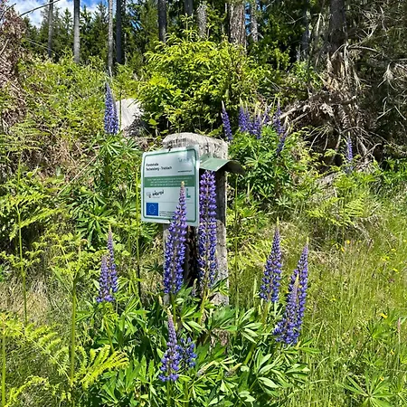 Villa Sara - Woertherseeblick, Skifahren, Sauna *