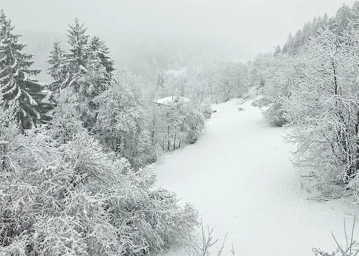 Villa Villa Sara - Wörtherseeblick, Skifahren, Sauna
