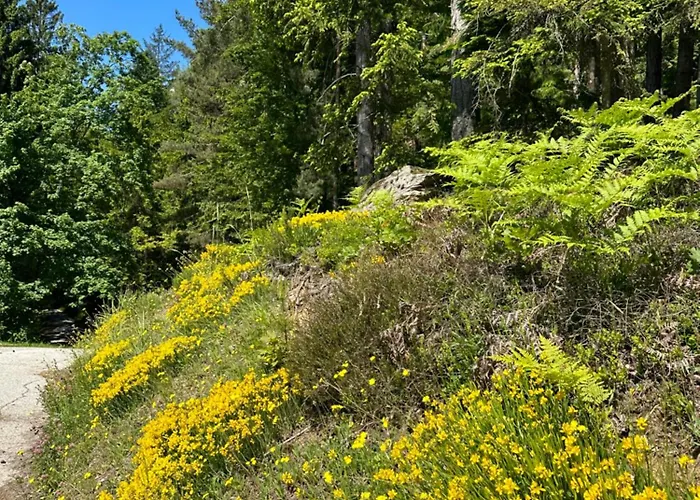 Villa Sara - Wörtherseeblick, Skifahren, Sauna Villa *