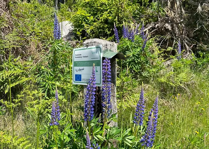 Villa Villa Sara - Wörtherseeblick, Skifahren, Sauna *